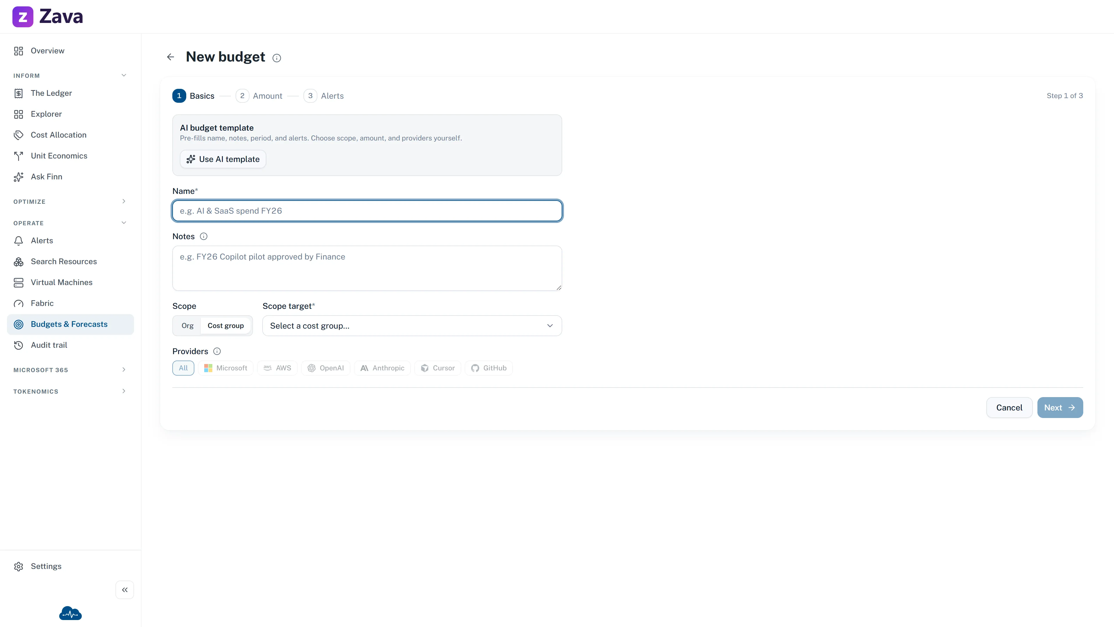 Example New budget wizard showing the Basics step and scope controls