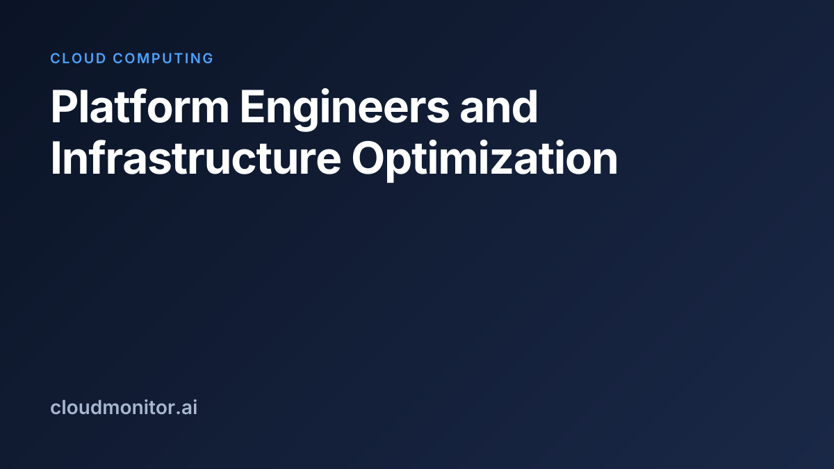 Platform Engineers and Infrastructure Optimization
